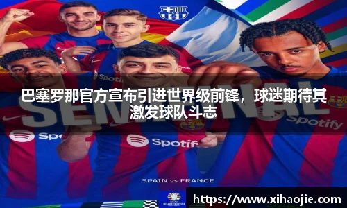 米乐M6