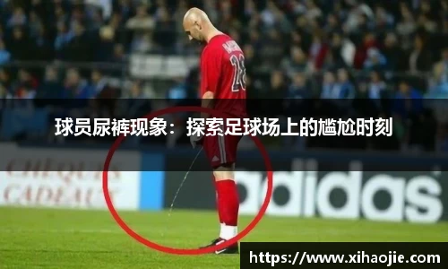 米乐M6